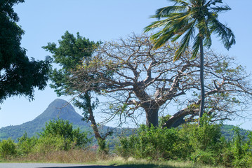 Landscape with mount Choungui on the island of Mayotte