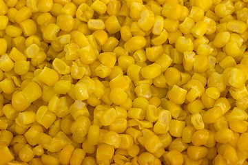 Frozen Sweet Corn , Close Up