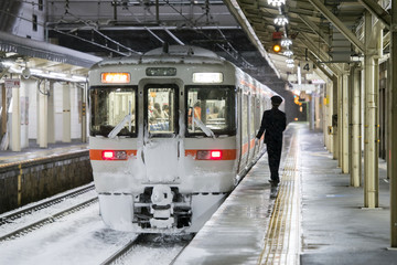 Obraz premium 大垣駅・雪の夜