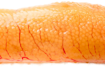 Pike roe with white background