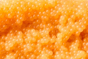 Fotobehang Ree Unripe pike eggs  © Mps197