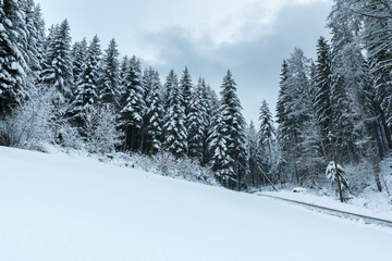 Winterlandschaft Deutschland