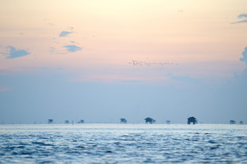 sea blure