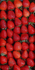 fresh  strawberries  background