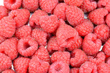 Himbeeren