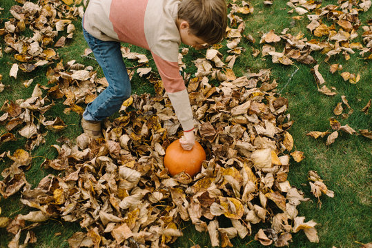 Young boy placing pumpkin with leaves 
