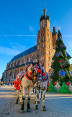 Fototapeta Carriages for riding tourists on the background of Mariacki cathedral at main square in old city of Krakow, Poland obraz