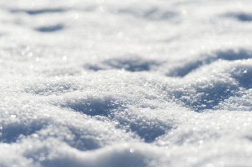 The snow as a background