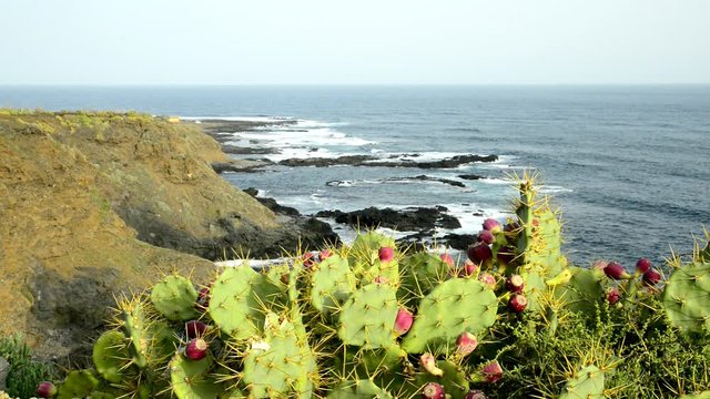
Teneriffa, wilde K&uuml;ste in Hidalgo
