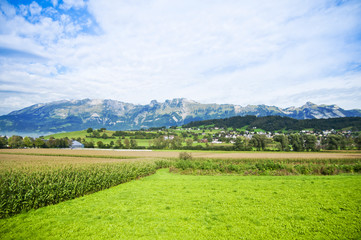 Fototapeta premium The traditional rural landscape in Switzerland