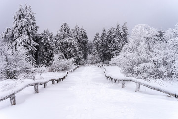 Winter Landschaften im Taunus