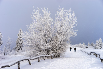 Winter Landschaften im Taunus