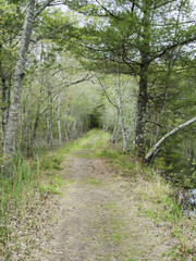 Path along pond in Washburn Park
