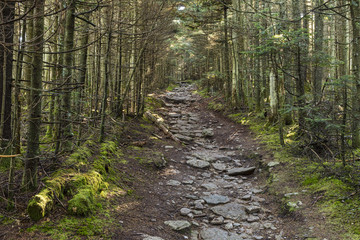 Obraz premium Shady Path to Slide Mountain