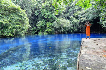 Blue hole near East Coast Road. Espiritu Santo island-Vanuatu. 6913 - obrazy, fototapety, plakaty