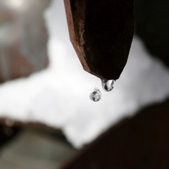 Glaskristalltropfen an Baumrinde