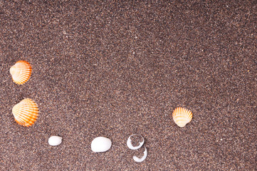 Texture of volcanic sand with shells