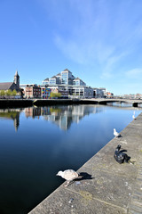 Rives du Liffey à Dublin