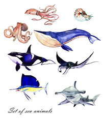 Watercolor set of sea fishes