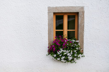 Fototapeta na wymiar wooden window decorated with pink petunia and white pelargonium