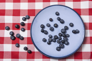 Bluberries on a blue plate.