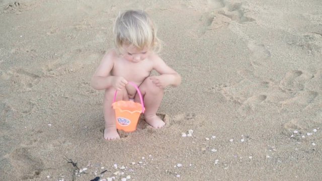 Girl collects shells on sandy beach