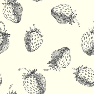 Strawberry. Vector seamless pattern. Floral hand drawn illustration
