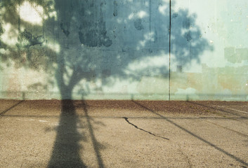 Shadow of a Tree on an Empty Handball Court 