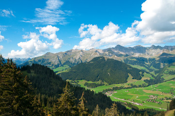 Colorful view of the Alps in the summer