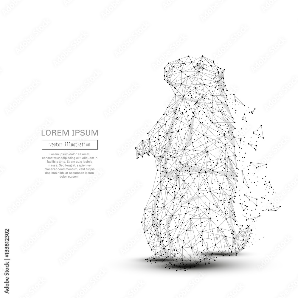 Aufkleber Grey groundhog with polygon line on abstract background. Marmot Polygonal space low poly with connecting dots and lines. Connection structure. Vector Woodchuck background.