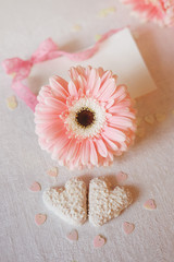 Valentine's Day symbols tender pink gerbera flowers and heart sh