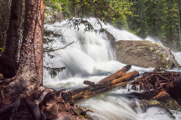 Cascade Falls Rocky Mountain National Park