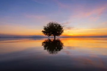 Keuken foto achterwand Reflectie Water en boom zonsondergang in zee