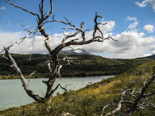 Patagonia landscape