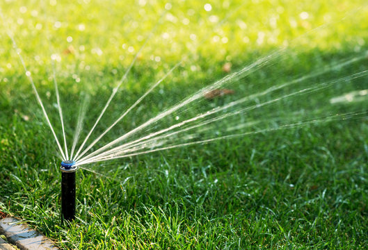 Automatic Watering Lawns