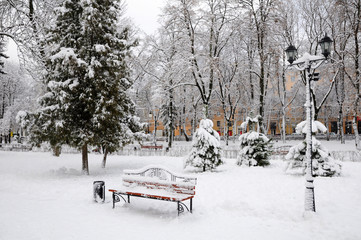 Snow-covered city park