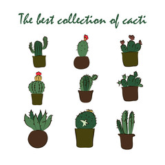 Beetles  set on an isolated background