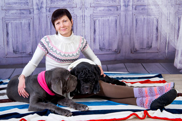 Attractive girl posing in the studio with puppies of breed Mastiff Neapolitana.