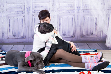 Attractive girl posing in the studio with puppies of breed Mastiff Neapolitana.