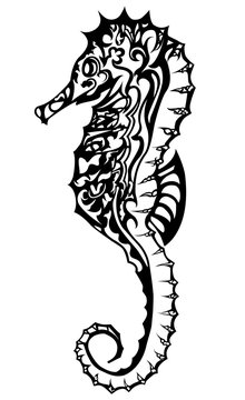 Black and white seahorse based in doodling style