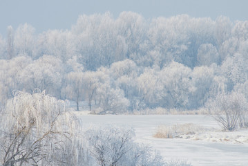 Winter landscape