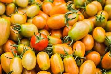 Pile of fresh tomatoes. Close-up