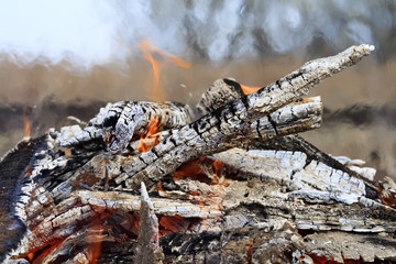 bright red flame and grey smoke from firewood burning
