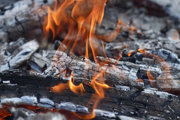 burning black coals with a white ash and red flames