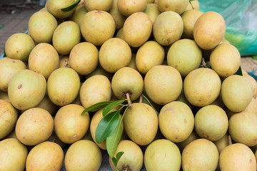 Sapodilla, tropical fruit displayed at Vinh Long fruit market, Mekong delta. The majority of Vietnam's fruits come from the many orchards of the Mekong Delta