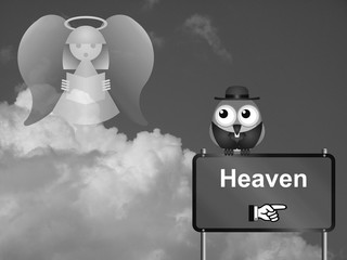 
Monochrome heaven sign against a cloudy sky
