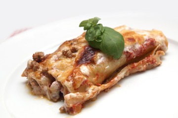 Cannelloni