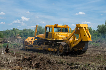 Destruction of forests with bulldozer. Seizure of forest land for agriculture.