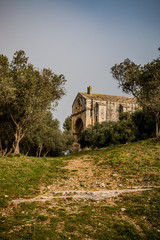 Fototapeta na wymiar La chapelle Saint-Gabriel de Tarascon au milieu des oliviers