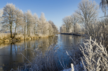 Winter Elde